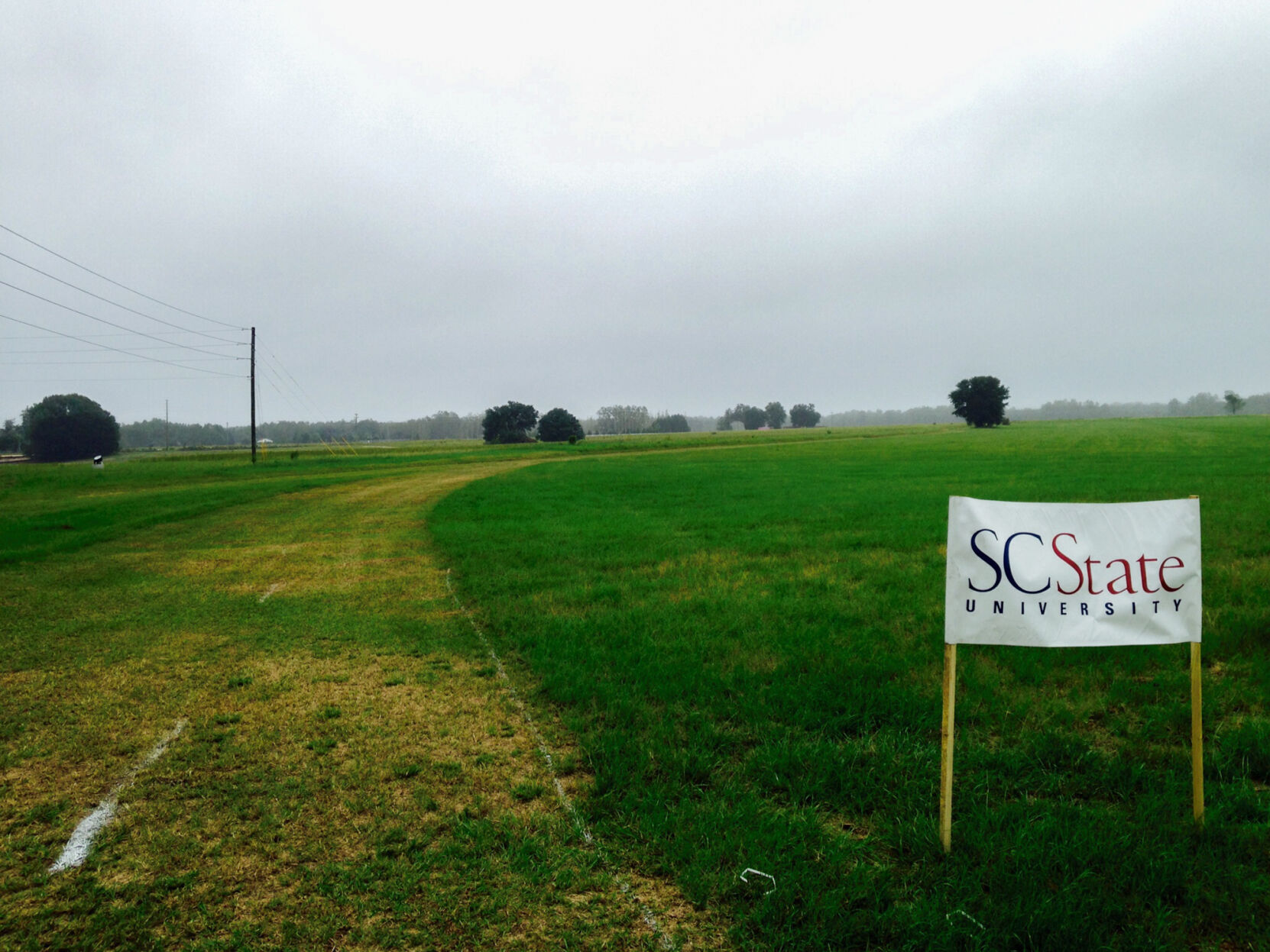 SC State field (copy)